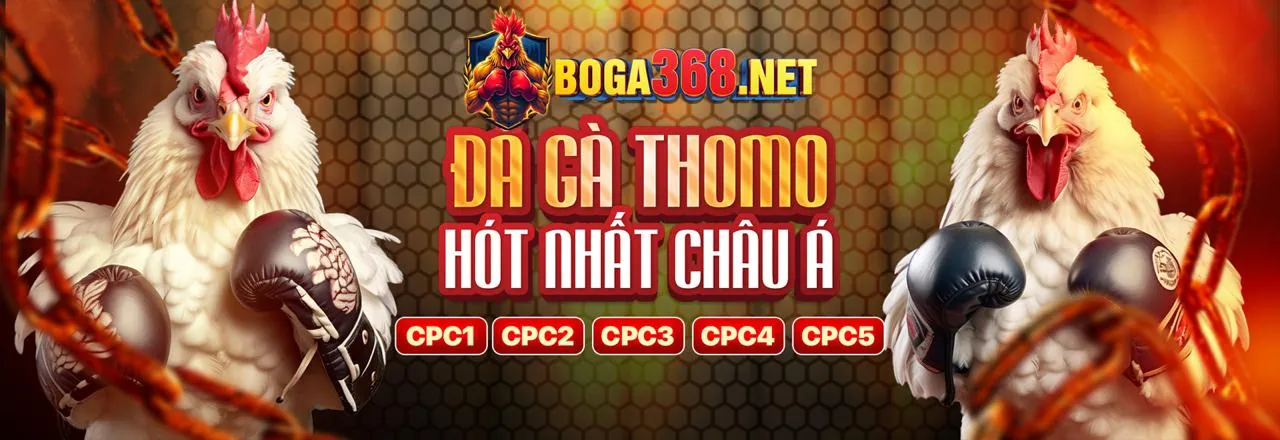Đá gà kịch tính tại Choang Trang Chủ